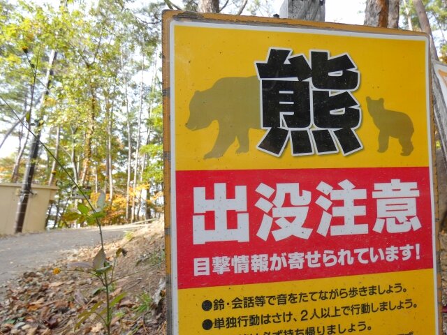 秋田県で過去最悪の熊被害、メガソーラーの森林伐採による生息域の縮小が一因か？